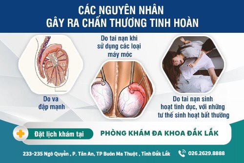 Chấn thương tinh hoàn và những bệnh lý nguy hiểm ở nam giới chớ nên chủ quan