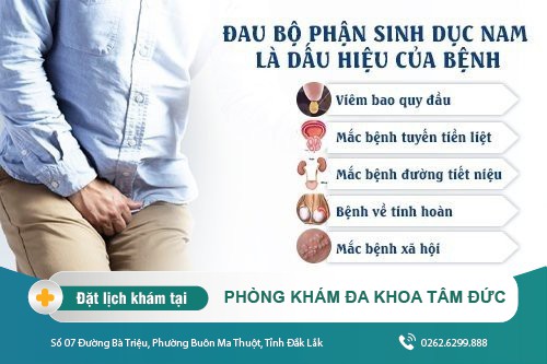 Nam Giới Bị Đau Bộ Phận Sinh Dục Nên Khám Ngay Kẻo Hối Hận