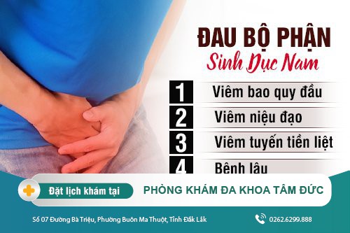 Những nguyên nhân - bệnh lý gây đau bộ phận sinh ở nam giới