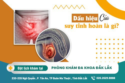 Suy tinh hoàn và tác hại khó lường - Địa chỉ thăm khám uy tín tại Đắk Lắk