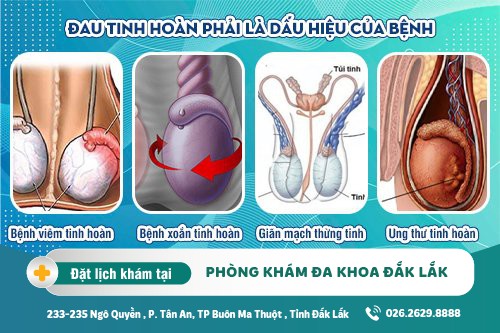 Đau tinh hoàn phải - dấu hiệu bệnh lý nguy hiểm ở nam giới