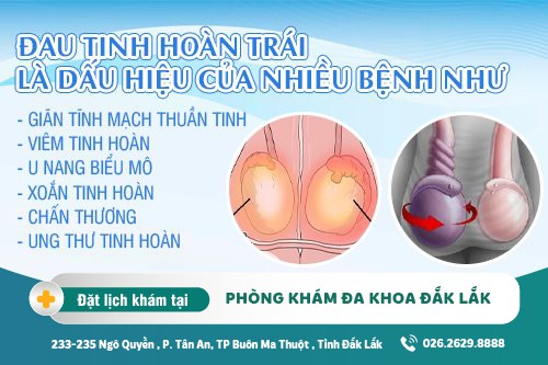 Đau tinh hoàn trái và các bệng lý nguy hiểm chớ nên lơ là