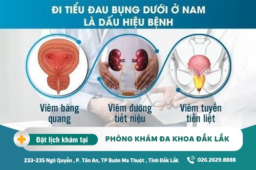 Đi tiểu đau bụng dưới có đáng lo? Cách điều trị tiểu đau bụng dưới