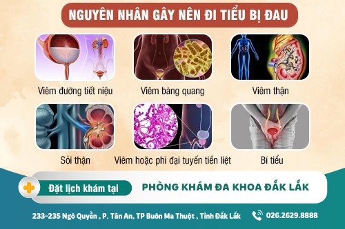 Đi tiểu đau là triệu chứng của bệnh lý nào?