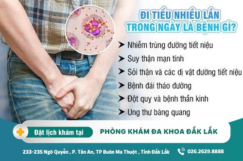 Đi tiểu thường xuyên nhiều lần và nguyên nhân đáng ngờ