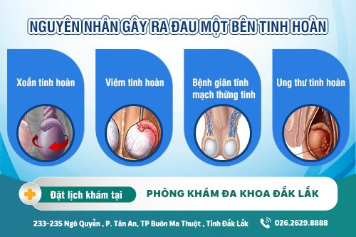 Đau tinh hoàn 1 bên: Dấu hiệu - Nguyên nhân - Địa chỉ thăm khám hiệu quả