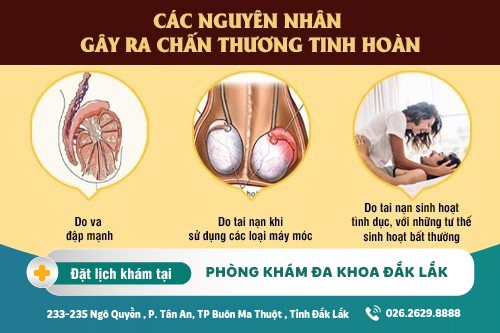 Hậu Quả Nguy Hiểm Không Thể Chủ Quan Khi Bị Chấn Thương Tinh Hoàn