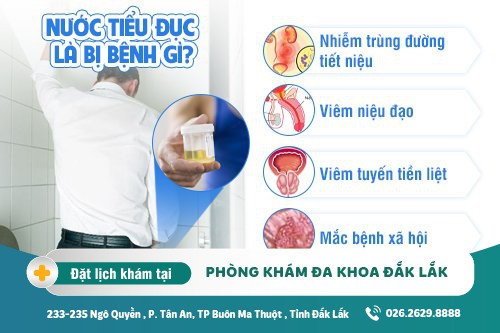 Nước tiểu đục là bị bệnh gì?