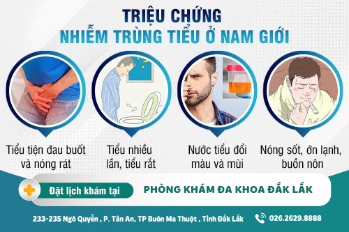 Nhiễm trùng tiểu và những thông tin liên quan